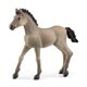 thumbnail image 2 of Schleich Criollo Definitivo Potreno Horse Club 13949 Figura de juguete, 2 of 2