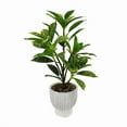 thumbnail image 3 of Lerman Decor's plant in cement pot, 3 of 4