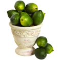 thumbnail image 2 of Juego de 12 Limones Artificiales Nearly Natural para Decoración, 2 of 7
