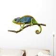 thumbnail image 1 of Chameleon Wall Decal by Wallmonkeys Peel and Stick Graphic (36 in W x 18 in H) WM176758, 1 of 4