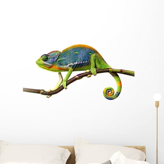 Chameleon Wall Decal by Wallmonkeys Peel and Stick Graphic (36 in W x 18 in H) WM176758