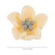 thumbnail image 2 of CRILSTYLEO 200Ud Encantos De Resina Con Floral Para Accesorios De Manualidades DIY, 2 of 6