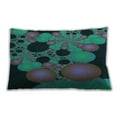 thumbnail image 1 of Ahgly Company Outdoor Rectangular Contemporary Lumbar Throw Pillow, 13 inch by 19 inch, 1 of 5