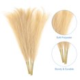 thumbnail image 3 of 4 Paquetes de Hierba Pampas Falsa de 17 Pulgadas 6 Tallos de Hierba Artificial para Decoración, Café Claro, 3 of 6