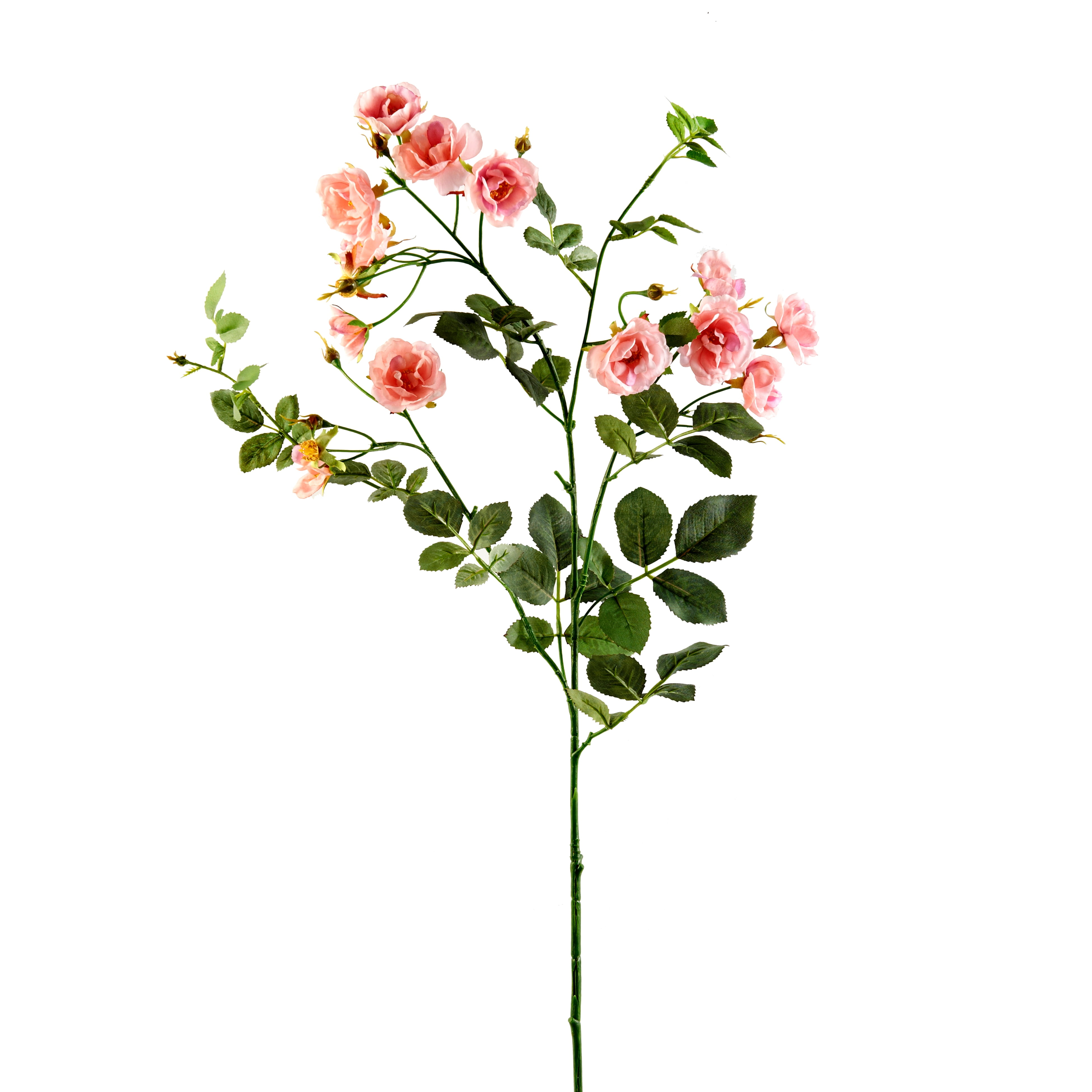 Dried Flower Preserving Spray Michaels Best Flower Site