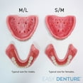 Medium/Large Upper Denture Arch, A functional boilandbite denture, Long or shortterm denture