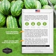 thumbnail image 2 of 2 Packs Georgia Rattlesnake Watermelon Seeds - Non-GMO Heirloom Full Sun Annual Fruit, 2 of 6