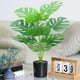 thumbnail image 5 of Soportes de Plantas para Plantas de Interior Plantas de Tortugas Artificiales, Hojas de Tortugas Tropicales Falsas, Plantas Verdes Artificiales, Plantas en Macetas, Decoración Interior Al Aire Libre S, 5 of 6