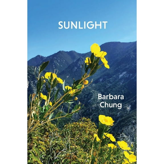 Sunlight, (Paperback)