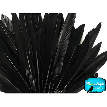 1 Pack - Black Duck Primary Wing Pointer Feathers 0.50 Oz.