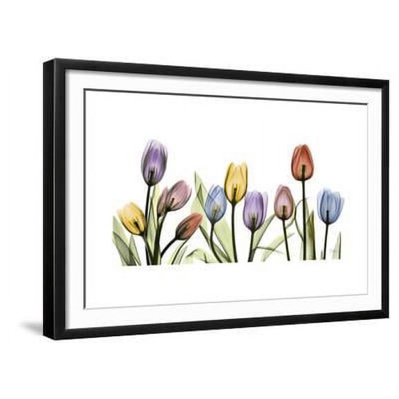 Tulipscape Portrait, Botanical Framed Art Print Wall Art by Albert Koetsier Sold by Art.Com