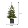 thumbnail image 4 of Fraiche Pre-Lit Porch Fir Tree 2-Piece Set, 4 of 6