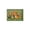 Color 3, variant on Spooky Ghosts And Pumpkins Pattern Soft Small Velvet Area Rugs Non Slip Indoor Floor Carpet for Living Room Bedroom Decor