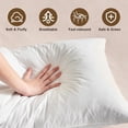thumbnail image 3 of BHZ Goose Down Feather Pillow Standard Size, Luxury Hotel Alternative Collection Bed Pillow for Sleeping Firm Soft Support for Side & Back Sleepers, White, 20x26 Inch, 1 Pack, 3 of 8