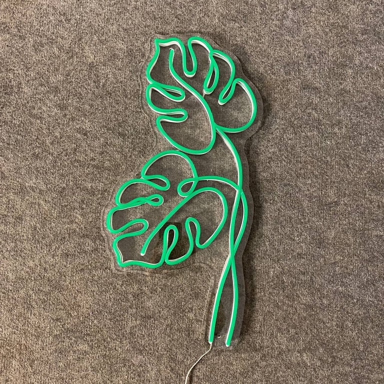 monstera obliqua runner Monstera obliqua  ARIUM BOTANICALS