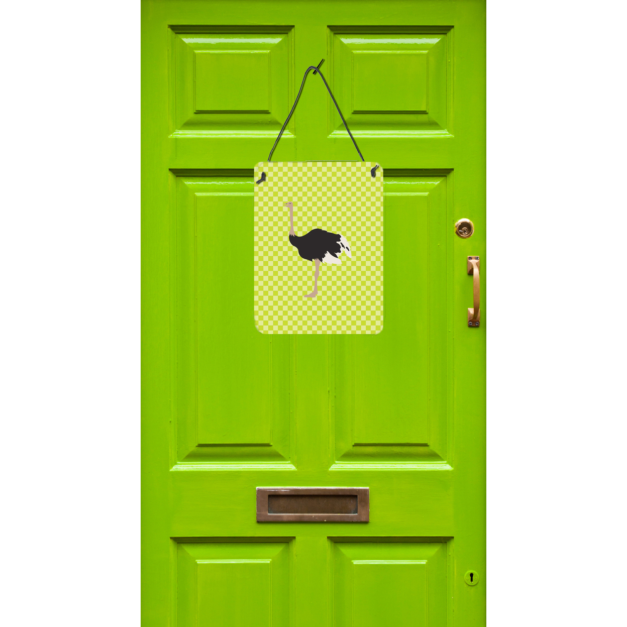 Common Ostrich Green Wall or Door Hanging Prints