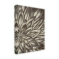 thumbnail image 2 of Trademark Fine Art 'Barnwood Blossom II' Canvas Art by June Erica Vess, 2 of 4