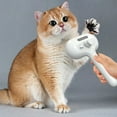 thumbnail image 2 of 3-in-1 Cat Steam Brush & Pet Grooming Kit - 2025 New Water Spray Hair Removal Comb for Shedding Control - Works on Cats, Dogs & Small Animals with One-Click Release, 2 of 6