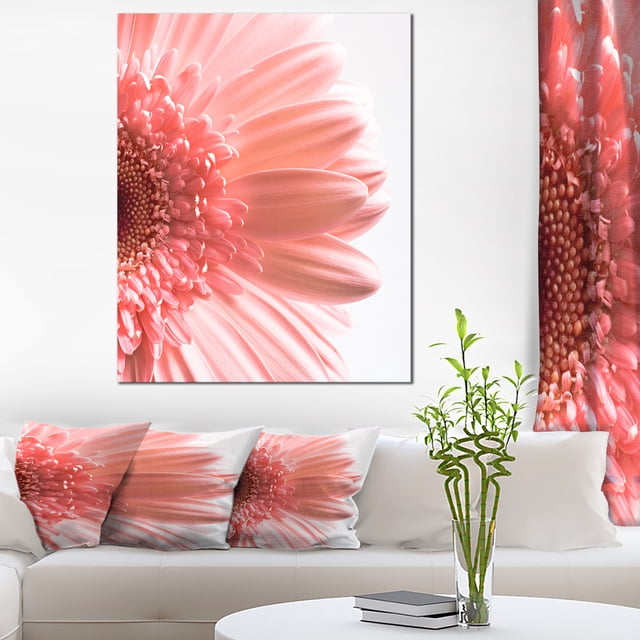 Grands Pétales de Fleurs Marguerites Roses - Impression sur Toile Florale