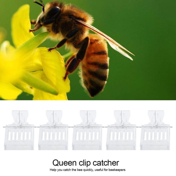 Herramienta de captura de jaula NikouMX 5 piezas de plástico para atrapar abejas