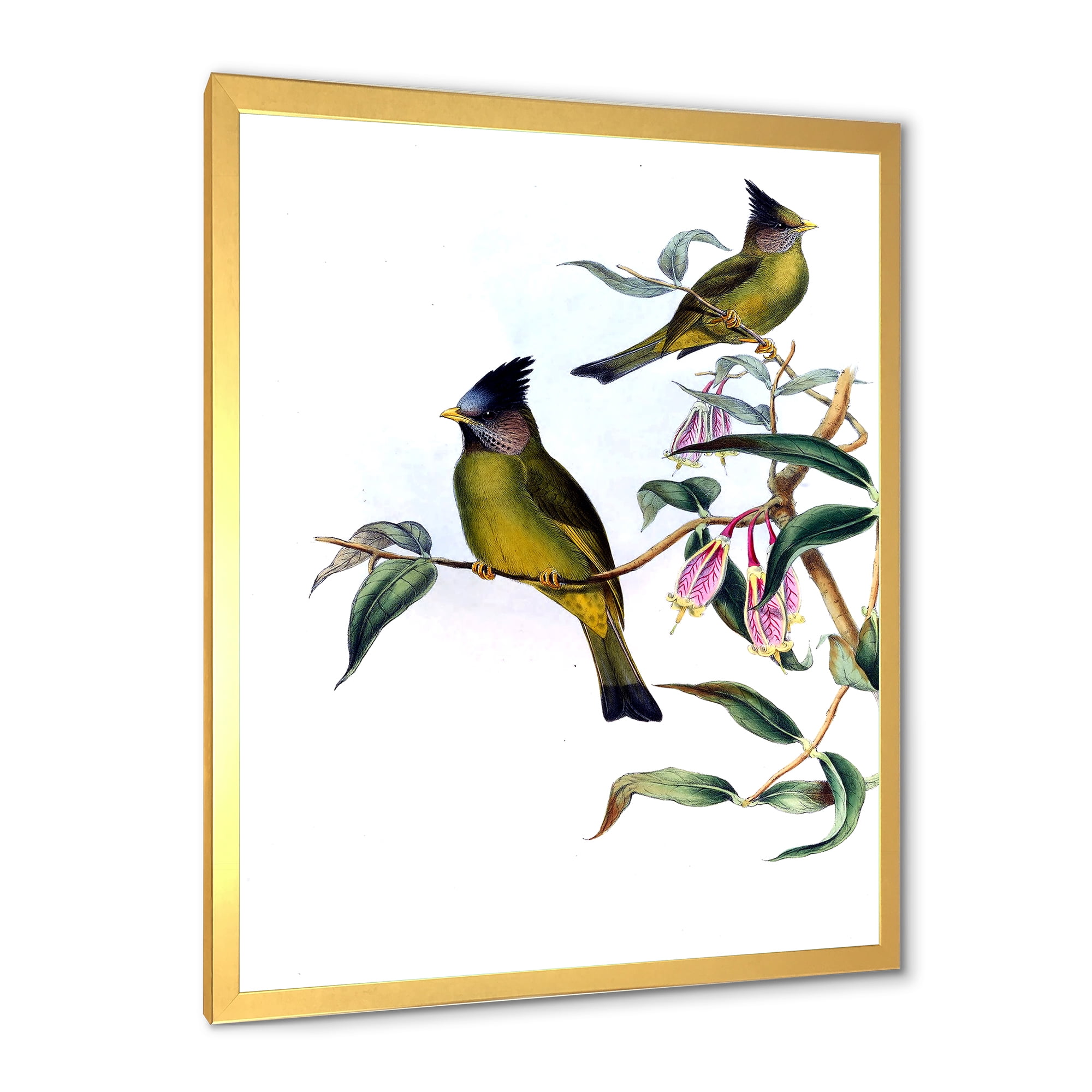 Designart 'Vintage Countryside Birds On Branch II' Farmhouse Framed Art Print