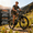 Black, variant on Aairsk GT900 36V 748W UL2849 26" Mountain Bike for Adults Teens Off-road Adventure