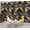 Gold/Grey, variant on Wallpaper Elegant White Floral Design Butterflies Soft Petals Peel and Stick Wall Murals 100"H x 144"W Removable PVC Wall Paper Self-Adhesive Wall Paintings Art Decor for Bedroom Living Room