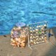 thumbnail image 5 of 2 Piezas 36Grids Caja de Exhibición Concha Marina Magnética Transparente Acrílico, Caja Organizadora de Exhibición de Almacenamiento de Cuentas de Piedras Preciosas de Diamante, 5 of 5