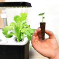thumbnail image 2 of YUANOU Growing Sponge Seed Germination Pod Replacement Root Growing Sponge Kit Supplemental Pod for Hydroponic Indoor Garden Planting System, 2 of 6