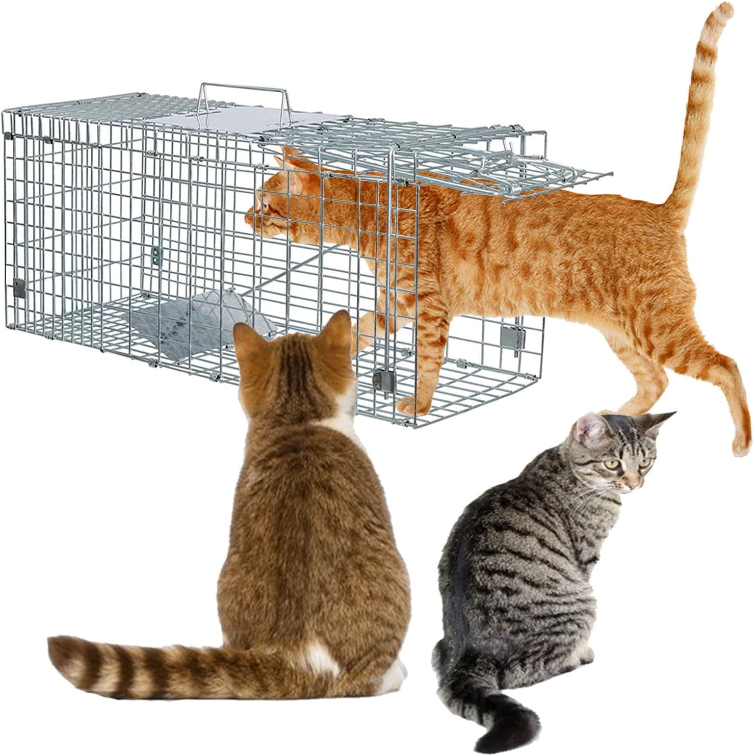 Cat Trap Cage 24"x8"x7" Live Animal Trap for Stray Cats Chipmunks Opossum Squirrel Chicken Mole