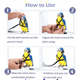 thumbnail image 3 of Parrot Bird Harness Leash Outdoor Flying Traction Straps Band Adjustable Anti-Bite Training Rope,Blue M, 3 of 7