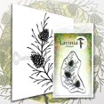 thumbnail image 2 of Lavinia Stamp - Fir Cone Branch, 2 of 2
