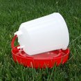 thumbnail image 7 of Chick Waterer Bowl Equipment Duck  Dinking Barrel Accessories 2.5L, 7 of 7