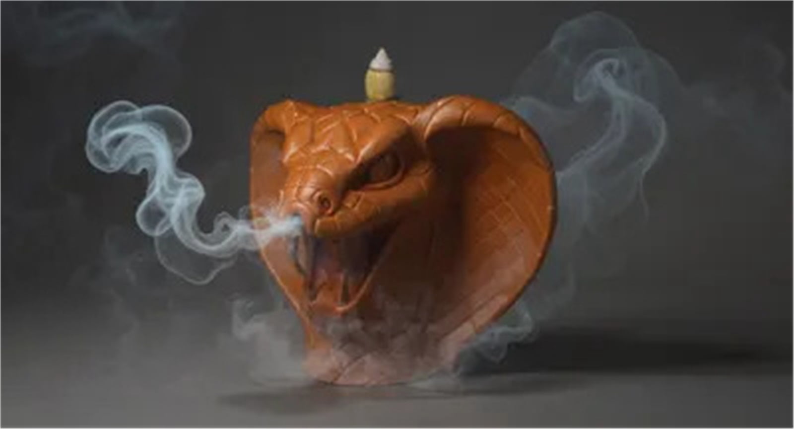 Backflow Incense Unique Smoke Snake 3D Printed Incense Holder