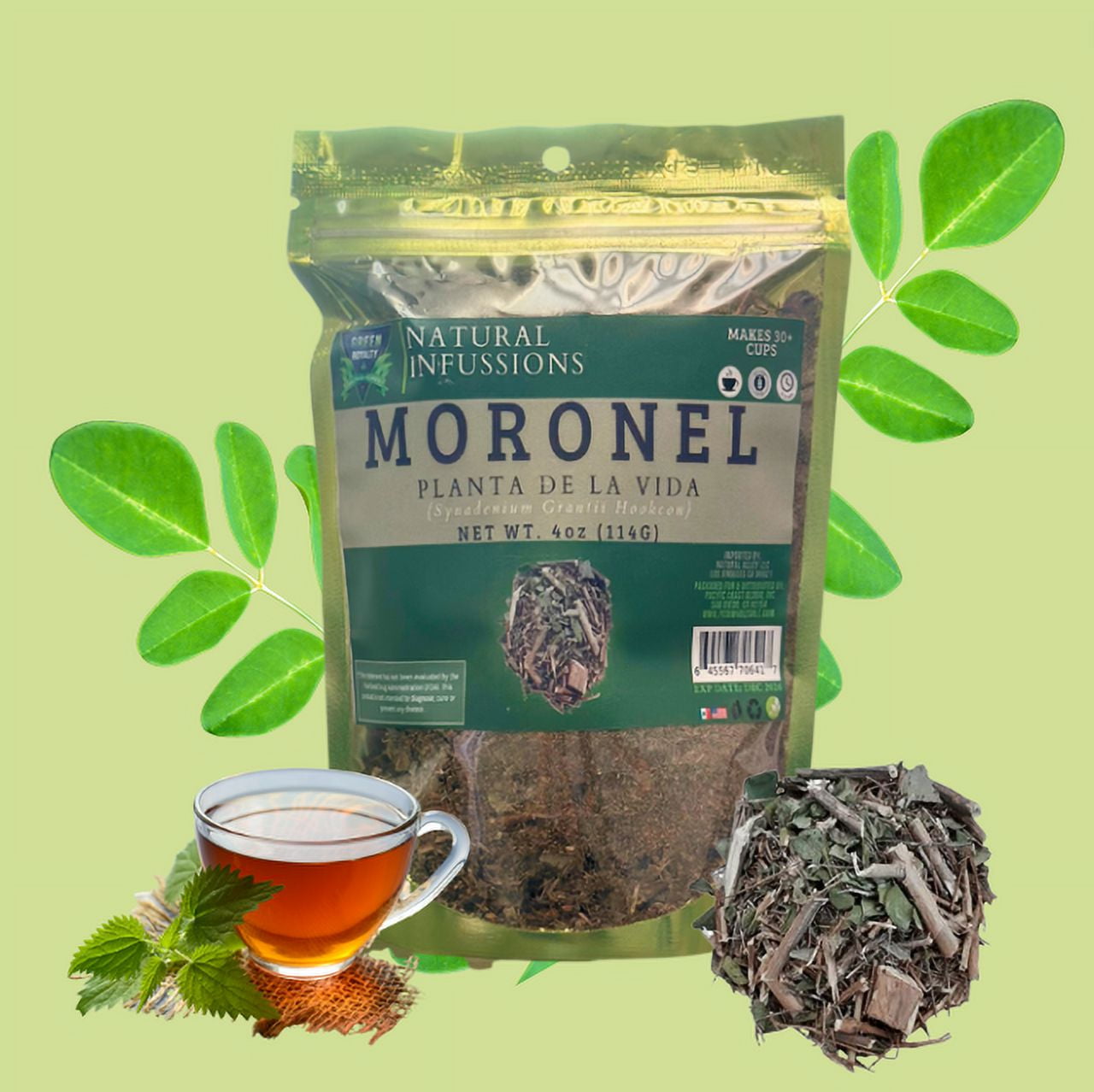 Alebrixes Moronel Loose Leaf Herbal Tea - 100% Natural Mexican Synadenium Grantii Tea, 6oz Resealable Bag