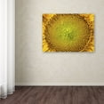 thumbnail image 3 of Kurt Shaffer 'Cosmic Patterns in Nature' Canvas Art 18 x 24, 3 of 3