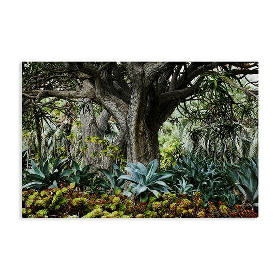 Stupell Industries Lush Tropical Vegetation Landscape & Nature Photography Wrapped Canvas Art Print Wall Art, 24 x 16