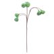 thumbnail image 1 of Higo artificial colgante, higo colgante realista, higo simulado con rama falsa., 1 of 7