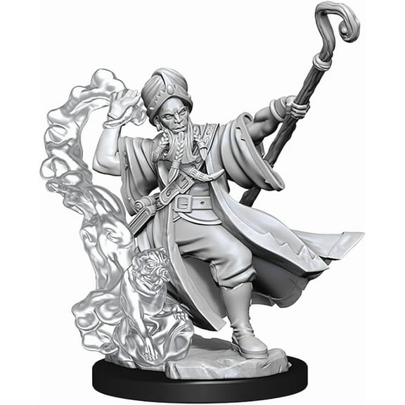 WizKids Human Wizard, Male New