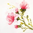 thumbnail image 2 of Atelier B Art Studio 20x20 Gold Ornate Wood Framed with Double Matting Museum Art Print Titled - Watercolor Magnolia Flowers, 2 of 4