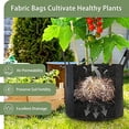thumbnail image 4 of 3/ 5/10 Gallon Growth Bag , Thick Fabric Flowerpot Suitable for Plants, Strong Handle and Reinforced Stitching, with Label, Black., 4 of 8
