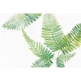 thumbnail image 3 of Paschke, Chris 24x17 Black Modern Framed Museum Art Print Titled - Ferns II, 3 of 5
