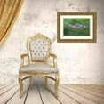 thumbnail image 3 of Wild, Jamie and Judy 32x23 Gold Ornate Wood Framed with Double Matting Museum Art Print Titled - WA-Mercer Slough-Wood Duck ducklings (Aix Sponsa), 3 of 4