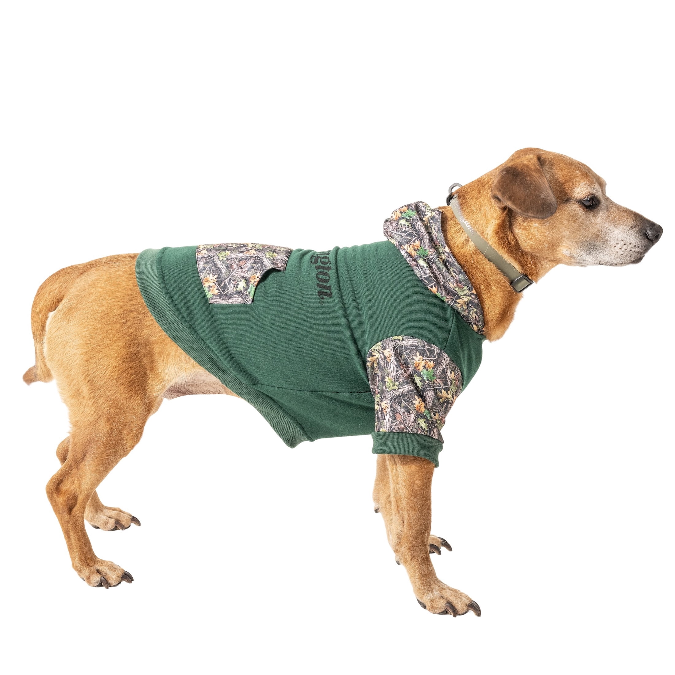 Remington Camo Logo Pet Hoodie for Dogs, Sage, Size M