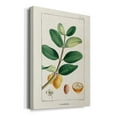 thumbnail image 2 of Turpin Tropical Botanicals V Premium Gallery Wrapped Canvas - Ready to Hang, 2 of 9