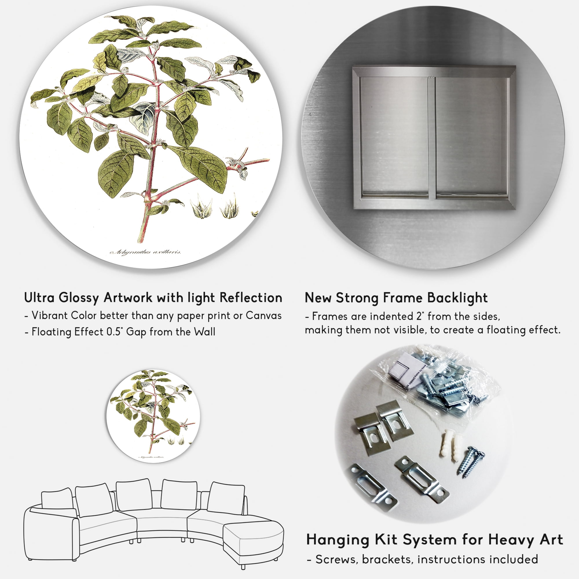 Designart 'Ancient American Flora IV' Traditional Circle Metal Wall Art 36x36 - Disc of 36