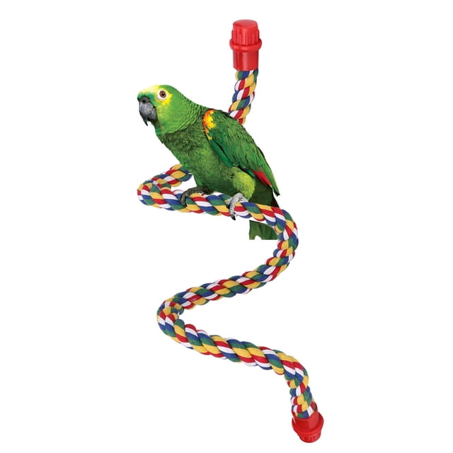 Bird Climbing Rope, Colorful Hanging Iron Wire Toy, Standing Frame For Bird Climbing Rope Bird S,M,L