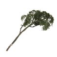 thumbnail image 3 of Modelo de árbol de Arce de 4.72 para Tren Ferrocarril Juego de Paisaje OO Escala 1:75 Zulema, 3 of 7