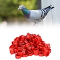 thumbnail image 1 of 100 piezas de anillos de identificación de palomas de plástico reutilizables 001-100 anillos numerados para piernas de aves de corral ANGGREK  Otros, 1 of 8