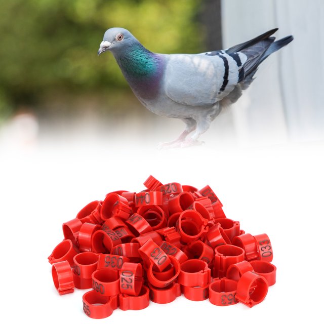 100 piezas de anillos de identificación de palomas de plástico reutilizables 001-100 anillos numerados para piernas de aves de corral ANGGREK Otros